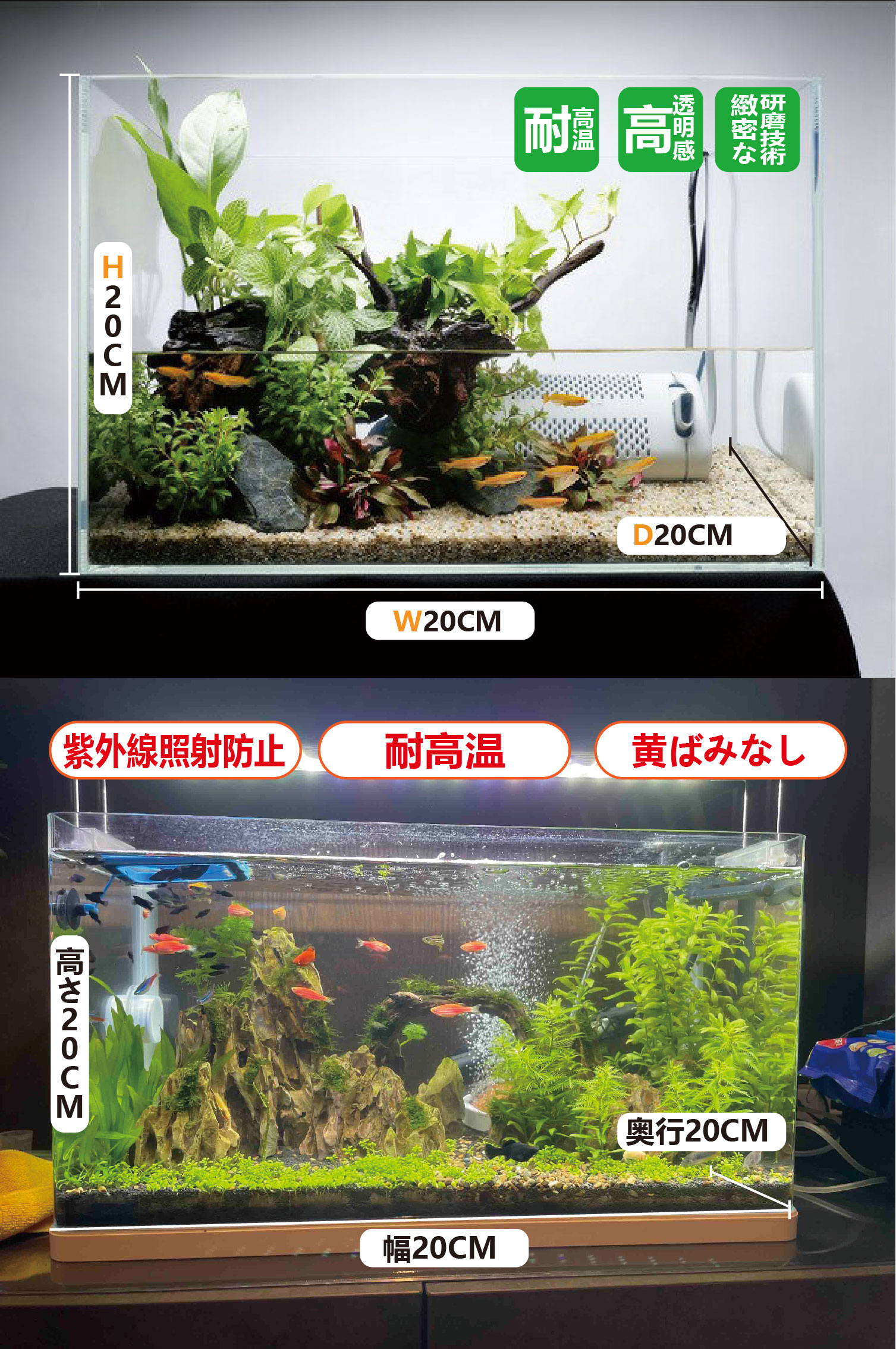 水槽トップ