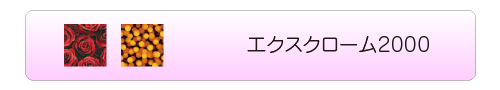 エクスクローム2000