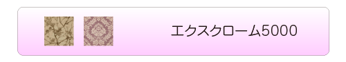 エクスクローム5000