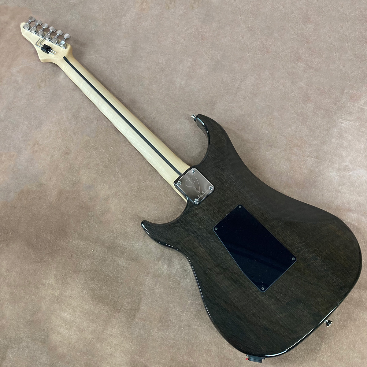 Vigier ( ヴィジェ ) Excalibur Original HSH VE6-CV1, Clear Black 