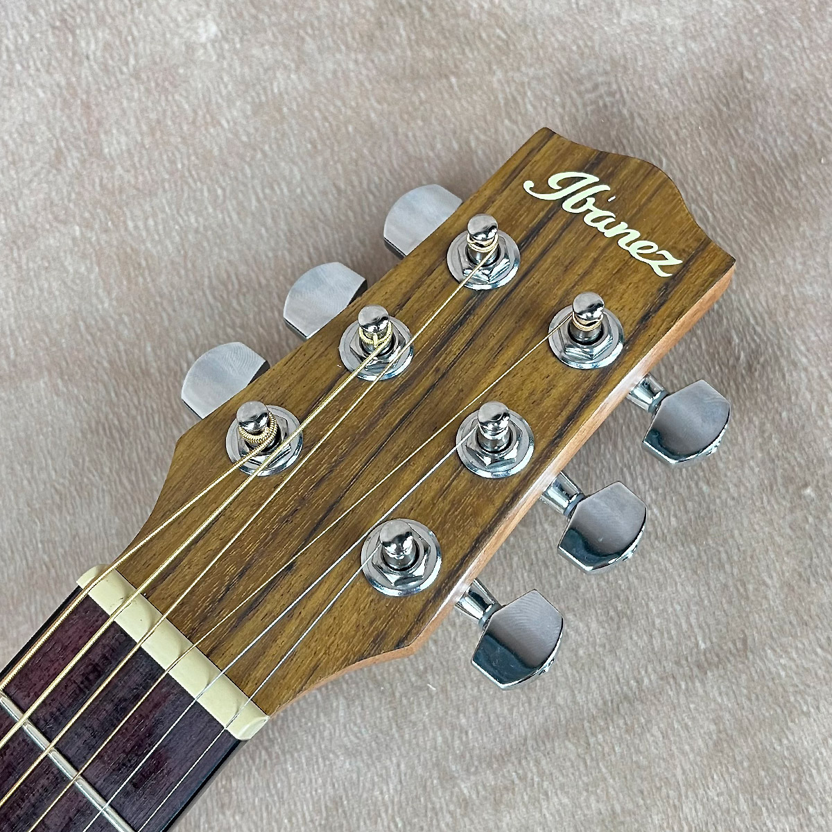 ibanez ewp（アコースティックギター、クラシックギター本体）の商品