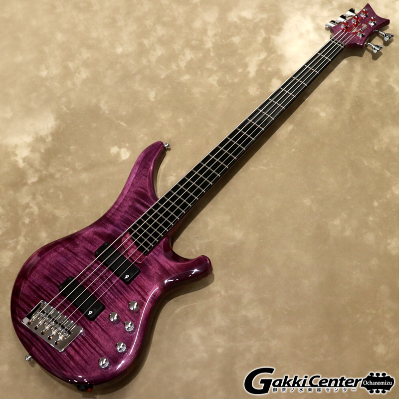 Vigier ( ヴィジェ ) Arpege 5 strings, V5ECC, Amethyst Purple [S/N: 0602]