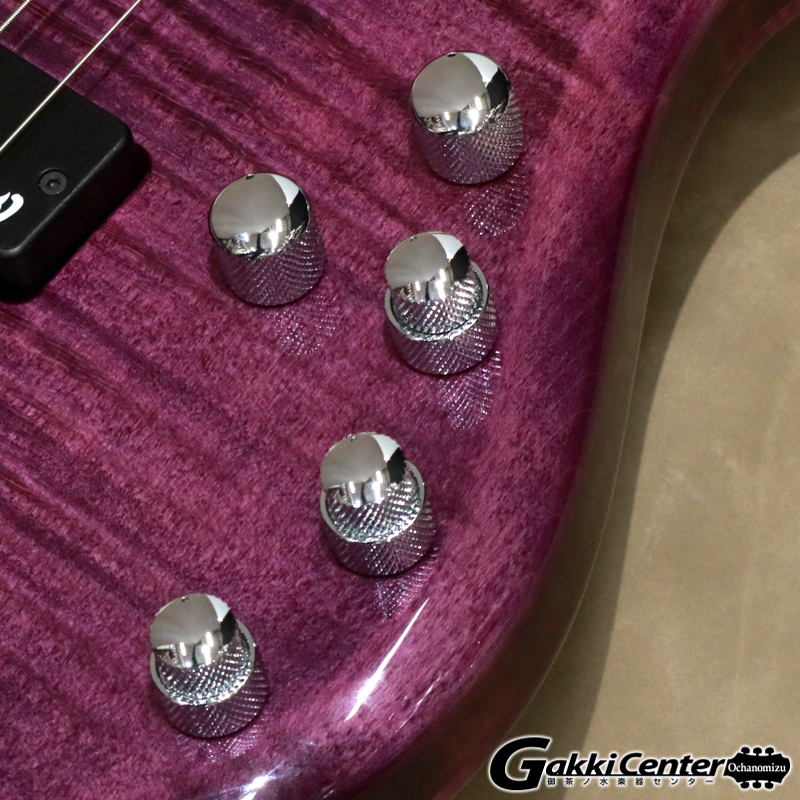 Vigier ( ヴィジェ ) Arpege 5 strings, V5ECC, Amethyst Purple
