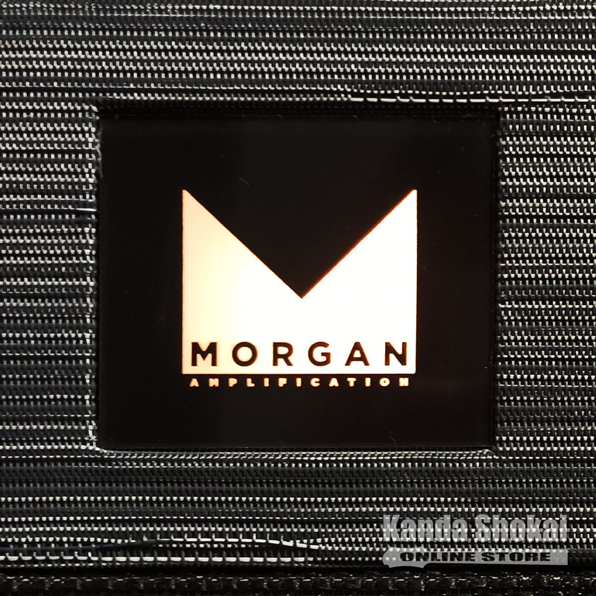 Morgan Amplification (モーガン・アンプリフィケーション) PR12 Combo, Twilight｜kanda-store｜06