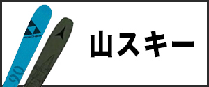 “山スキー”