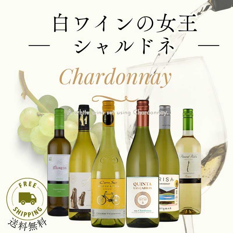 シャルドネ　セット 全てシャルドネを使った白ワインセット 6本 シャルドネ wine set