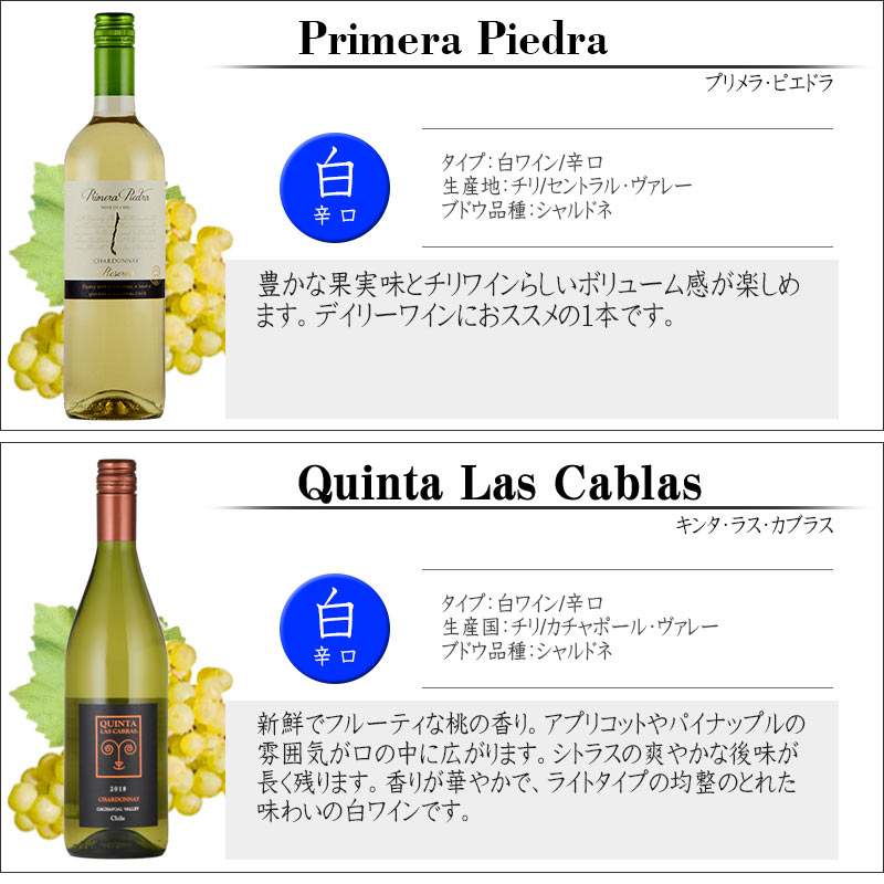 チリ 産 白 ワイン 6本 セット 飲み比べ セントラル・ヴァレー