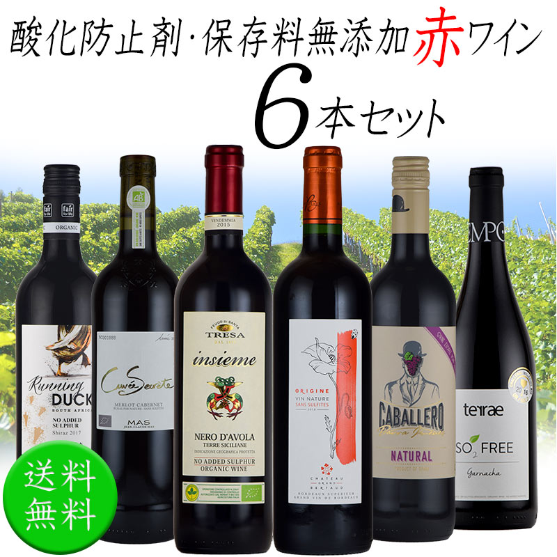 酸化防止剤 保存料 無添加ワイン オーガニックワイン 赤ワイン ６本セット 750mlx6本 お歳暮 SO２無添加 :10001302:神田商店 -  通販 - Yahoo!ショッピング