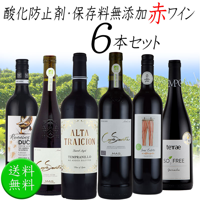 酸化防止剤 保存料 無添加ワイン オーガニックワイン 赤ワイン ６本セット 750mlx6本 お歳暮 SO２無添加 : 10001302 : 神田商店  - 通販 - Yahoo!ショッピング