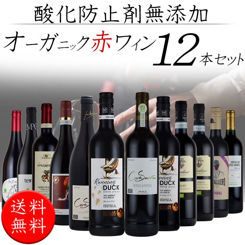 酸化防止剤 保存料 無添加 オーガニック 赤 ワイン １２本 セット