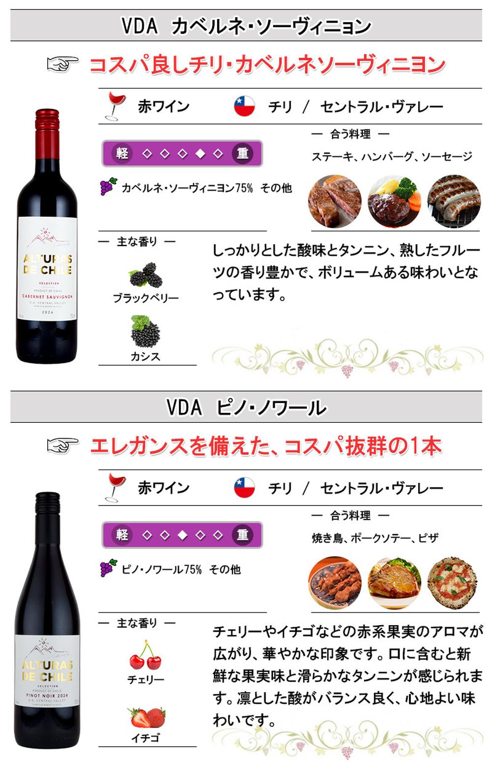 チリ産赤ワイン 12本 飲み比べセット 750ml×12本 ホワイトデー : 神田