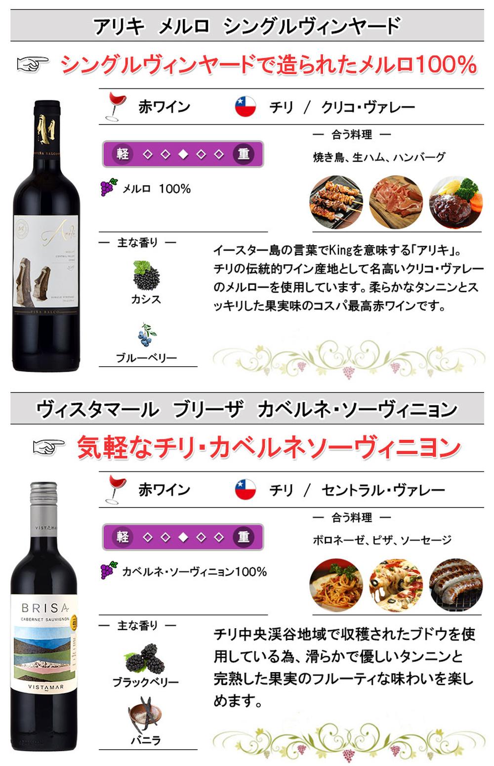 チリ産赤ワイン 12本 飲み比べセット 750ml×12本 ハロウィン : 神田