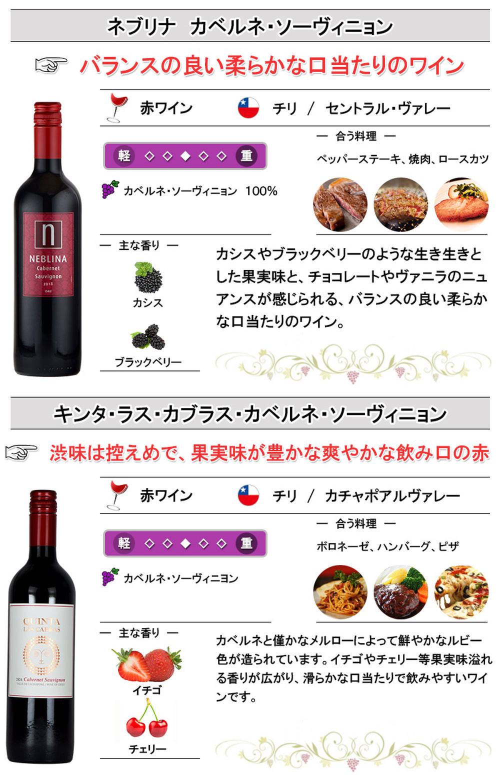 チリ産赤ワイン 12本 飲み比べセット 750ml×12本 ホワイトデー : 神田