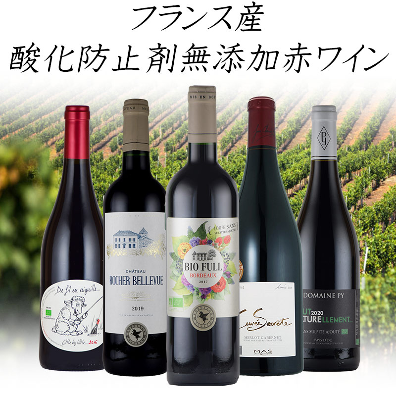 フランス産赤ワインセット（6本）その他5本（合計11本） 金賞＆高評価90点以上の赤ワイン5本セット 送料無料 赤ワイン