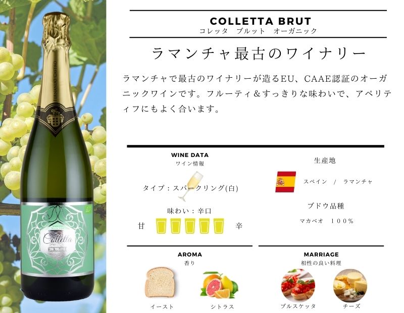 オーガニック スパークリング ワイン ギフト 2本 セット スペイン