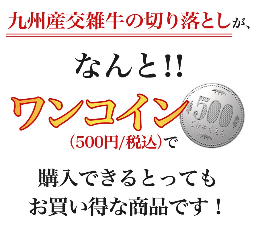 最大69%OFFクーポン 訳あり 国産牛 九州交雑牛切り落とし250g お取り寄せ 肉 お肉 medimind.com.au