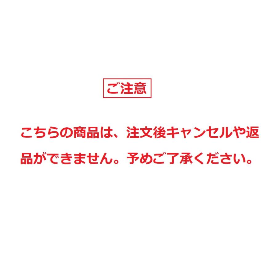 ドアハンドル　ユニオン　G620-01-090-A　ストーンブラスト　ステンレス　：オーダー品のため納期がかかります　(Pmin.1640〜max.2140×W25.4×D61)　両面用