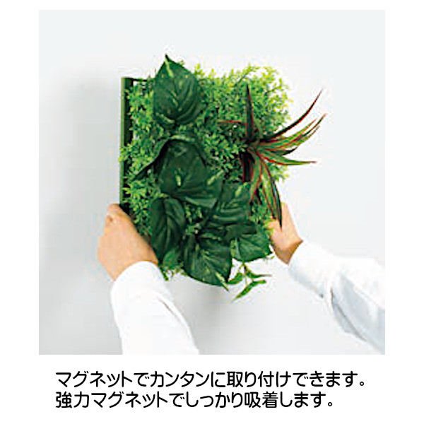 ベルク グリーンモード グリーンパネル マグネットグリーン 50角 GR1247 W560×H720×D130mm 造花 0.8kgの画像