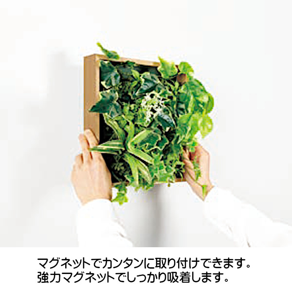 ベルク グリーンモード グリーンパネル マグネットグリーン 35角 GR1255 W400×H475×D150mm 造花 1.7kgの画像