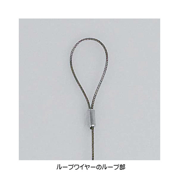 ベルク グリーンモード グリーンポット ハンギングポット 天吊りポット GR4448 W600×H550×D500mm 造花 1.7kgの画像