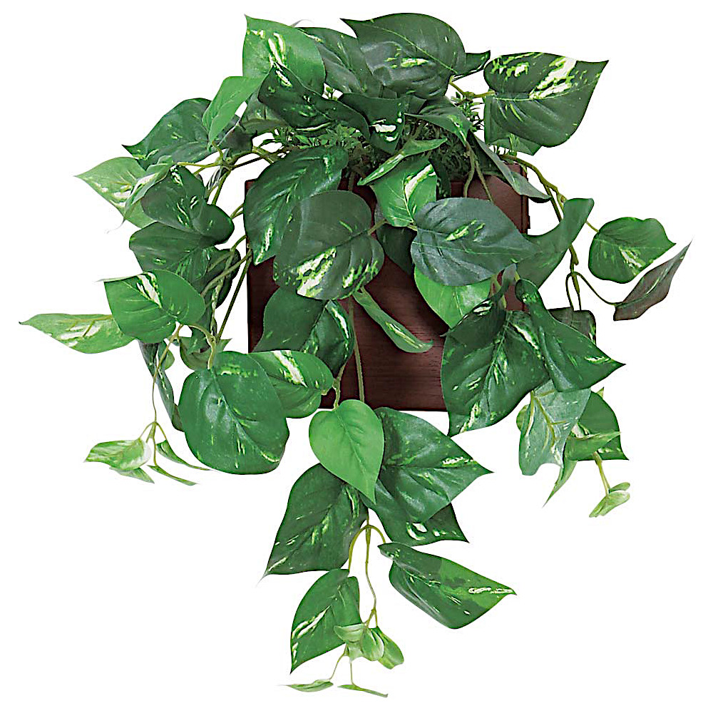 �x���N �O���[�����[�h �O���[���|�b�g �E�H�[���|�b�g GR4475 W400×H450×D300mm ���� 1kg