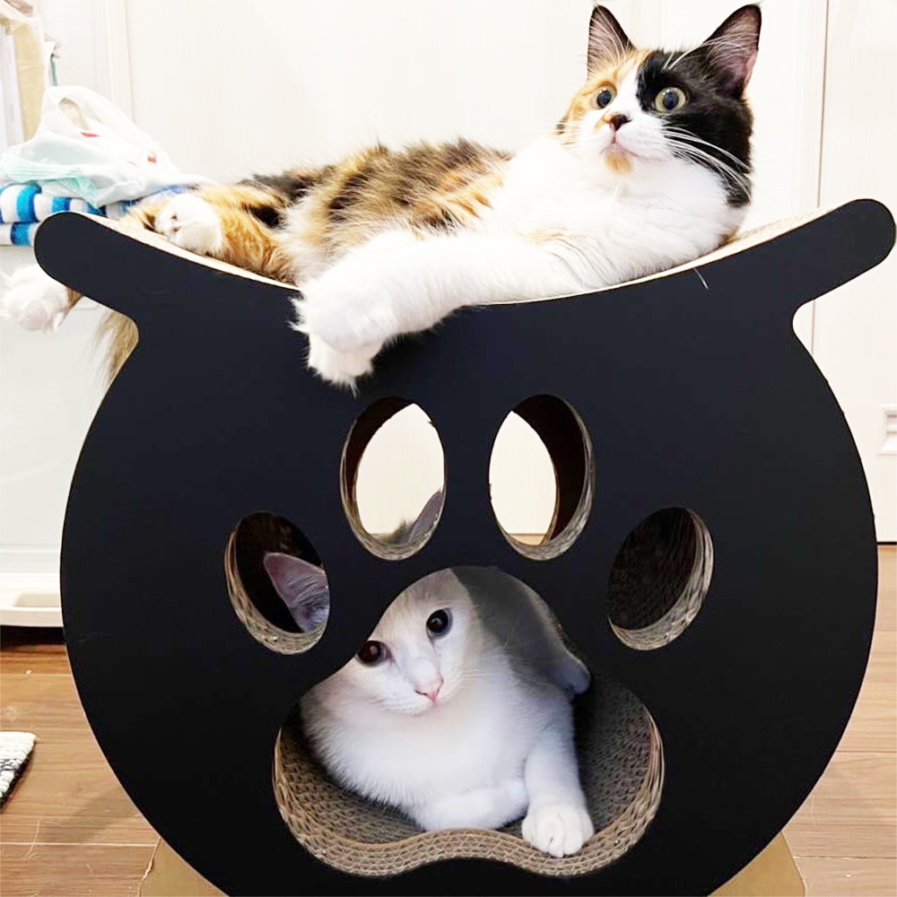 【新品・未開封】猫が遊べるリビングテーブル MYZOO】テーブル＆チェア