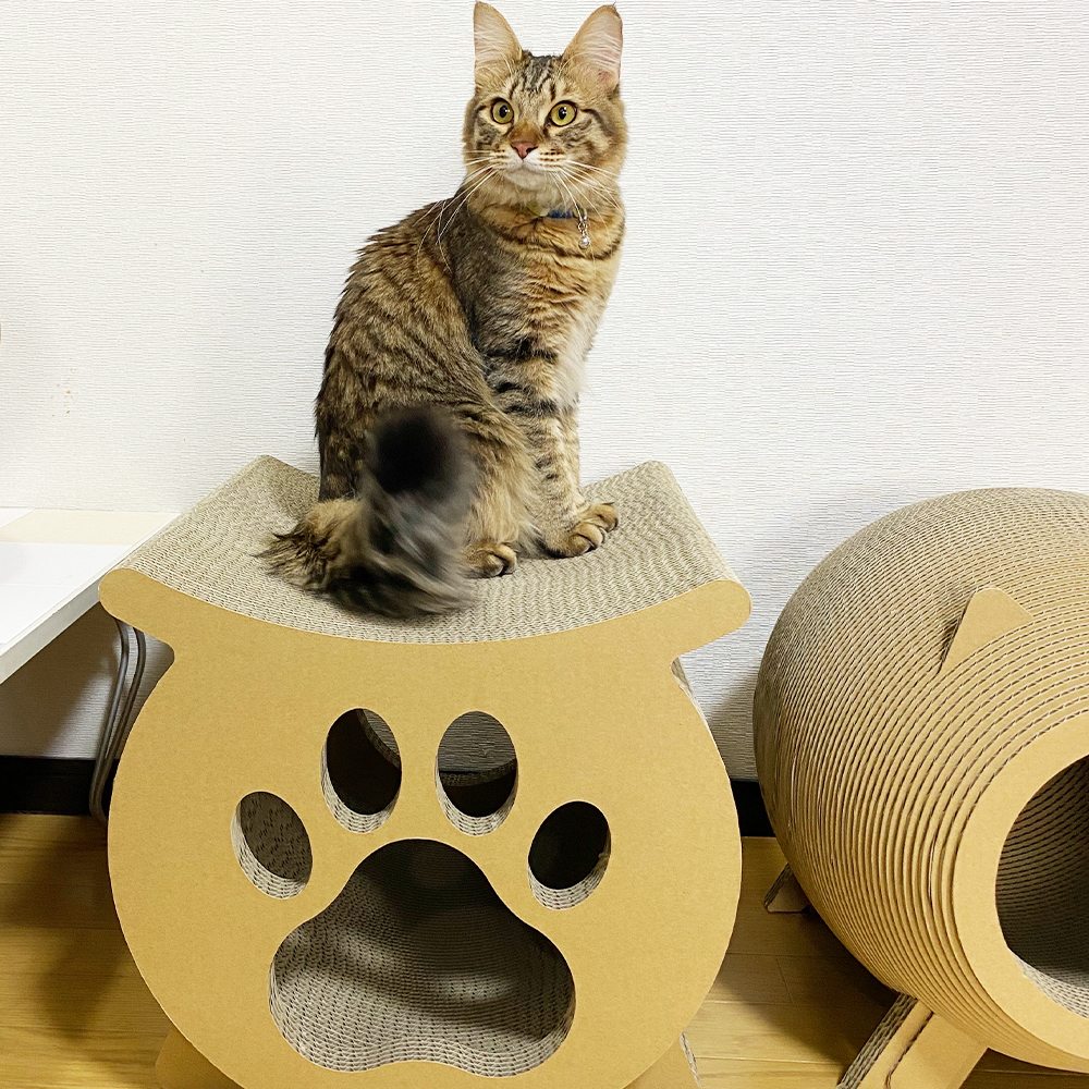 谷口紙業 HDシリーズ にゃんボールニクキュウHD ［メーカー直送品/沖縄