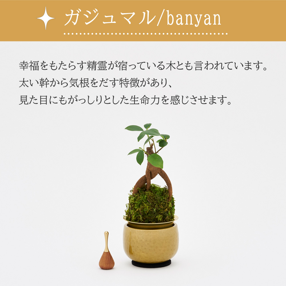 山口久乗 音具 苔玉りん 小 ガジュマル_5