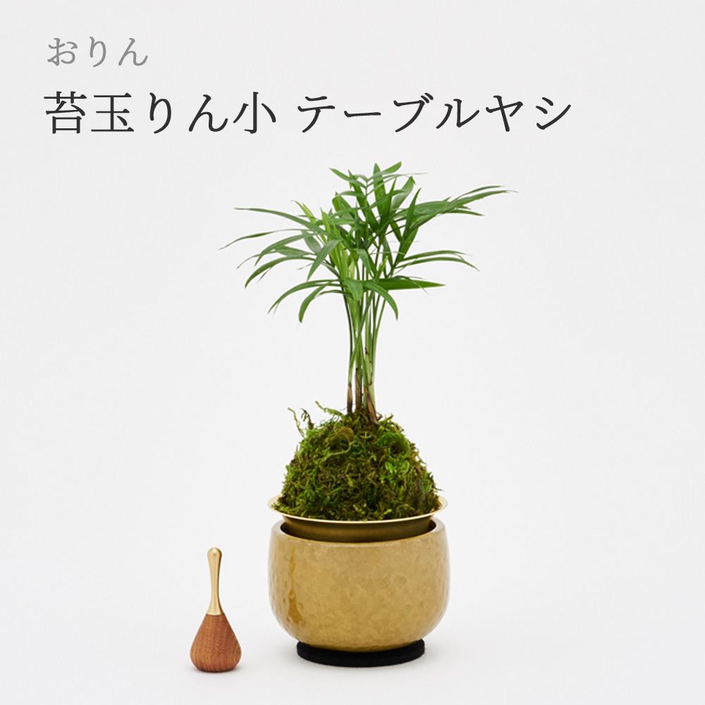 山口久乗 音具 苔玉りん 小 テーブルヤシ