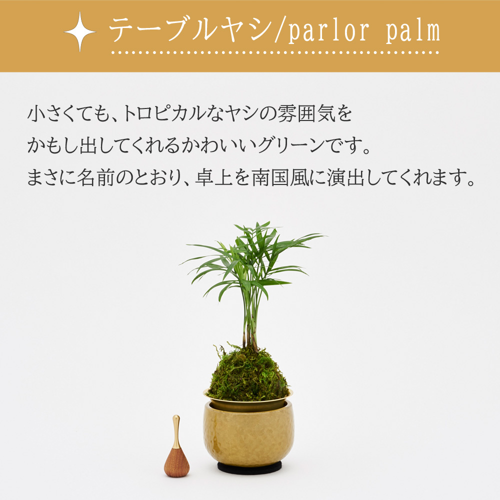 山口久乗 音具 苔玉りん 小 テーブルヤシ_5