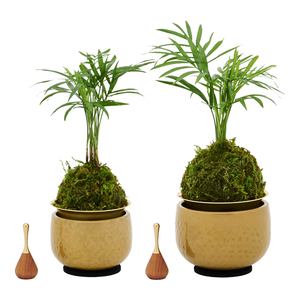 山口久乗 音具 苔玉りん 小 テーブルヤシ_1