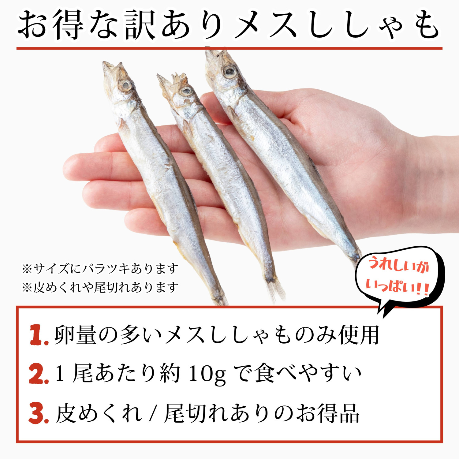 かねなかや次兵衛 無添加 子持ち ししゃも 一夜干し 500g(約40-50尾入