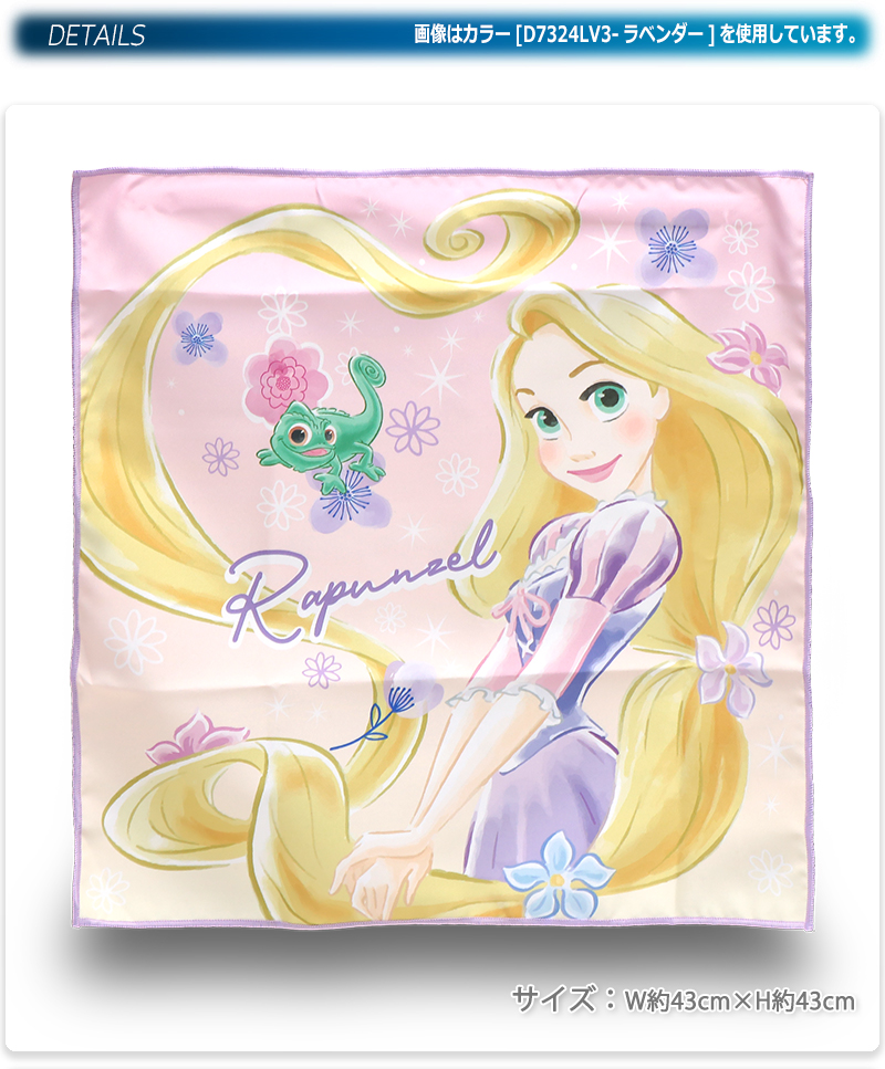 Disney（ディズニー） キャラクター ランチクロス ランチカバー お弁当