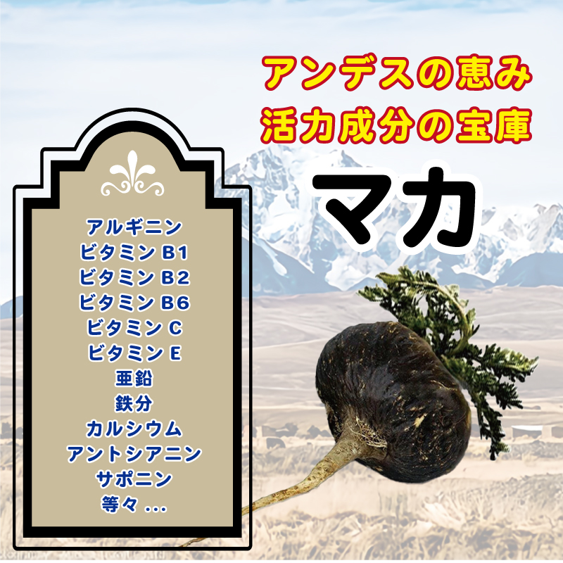 健康成分の宝庫マカ