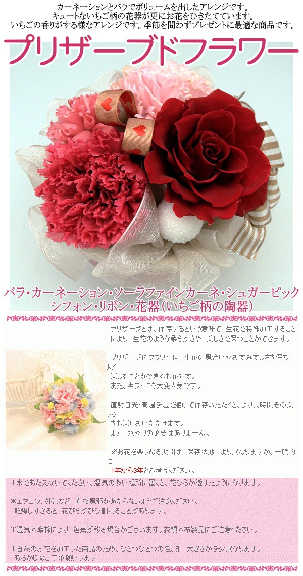 さんきん プリザーブドフラワーストロベリー シュガー 代購幫