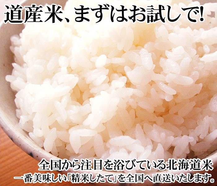 北海道米 お試し