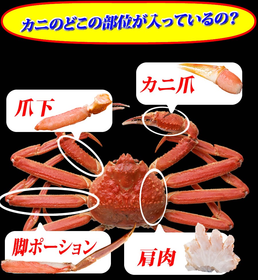 本ズワイむき爪 200g