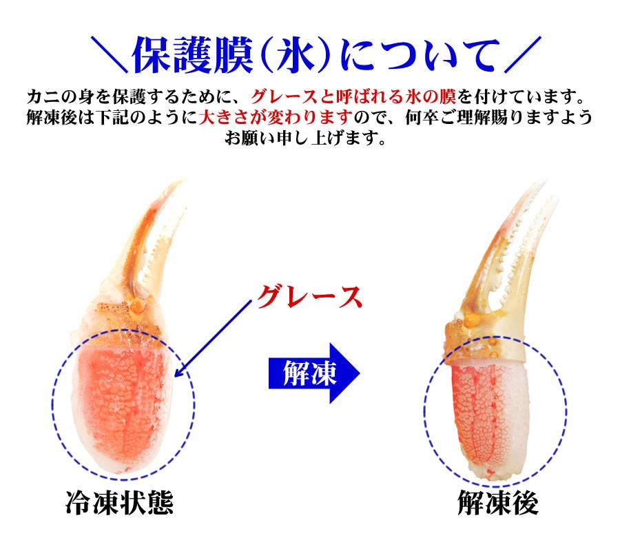 ズワイガニ カニ爪 カニしゃぶ むき爪 5Ｌサイズ 1kg 16〜20個入 3人前 蟹 むき身 お取り寄せ ギフト グルメ 送料無料 プレゼント  :403-01-02:海鮮蟹工房 カニ海産物専門店 - 通販 - Yahoo!ショッピング