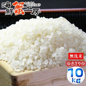 ゆきさやか10kg 無洗米