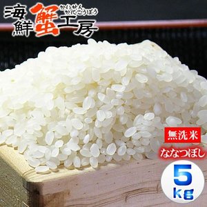 ななつぼし5kg 無洗米