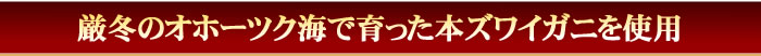 北海道 オホーツク海 本ズワイガニ