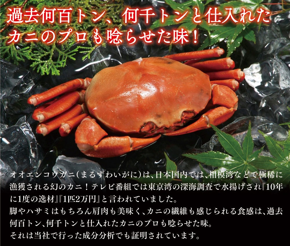 訳あり まるずわいがに 1kg かに カニ 蟹 オオエンコウガニ おおえんこうがに マルズワイガニ 丸ズワイガニ 33k カニパラダイス 通販 Yahoo ショッピング