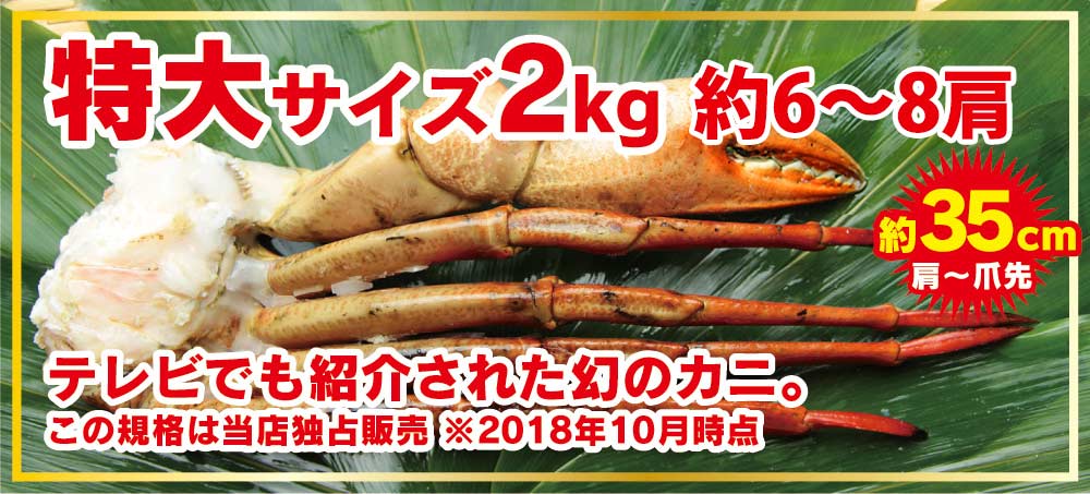 かに カニ 蟹 まるずわいがに（オオエンコウガニ） 肩付脚 2kg(1kg×2) 訳あり マルズワイガニ 丸ズワイガニ ギフト 年末年始予約も受付中  :kanipara-maru2kg:カニパラダイス - 通販 - Yahoo!ショッピング