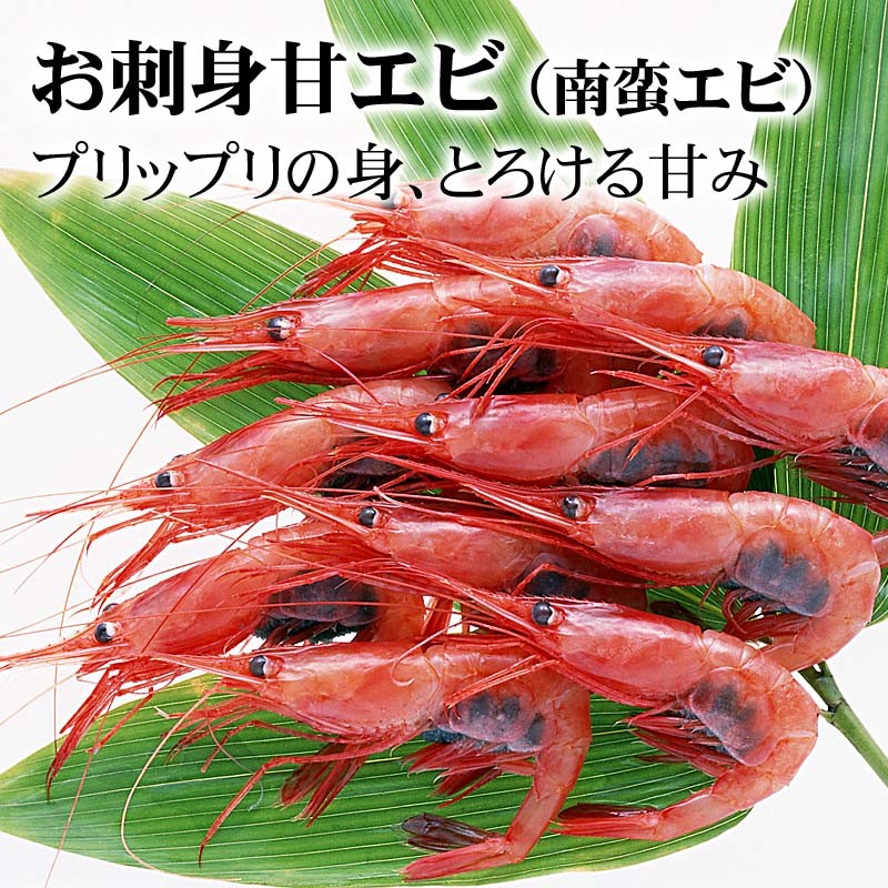 超特大ナンバン海老 冷凍甘エビ 3lサイズ 1kg 50尾前後入り 甘海老のトロける甘み 蝦味噌も絶品 お刺身 お寿司 ギフト かに太郎 通販 Yahoo ショッピング