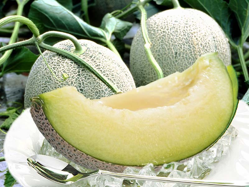 青肉メロン
