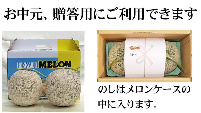 めろん　お中元　御中元