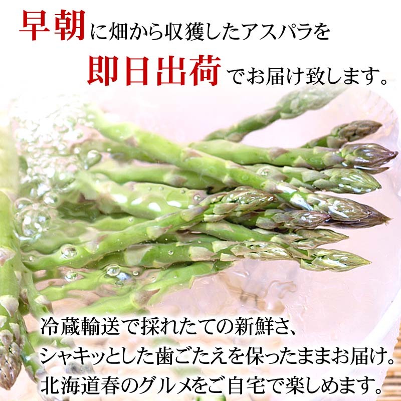 早朝収穫のアスパラガス
