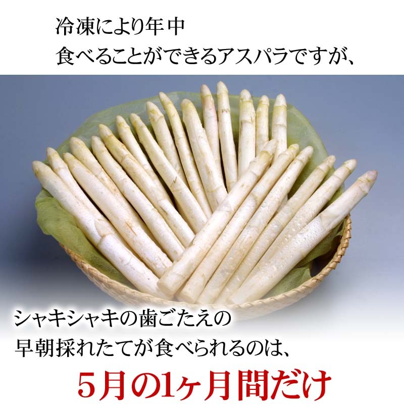 北海道産のあすぱらを食べられるのは春だけ