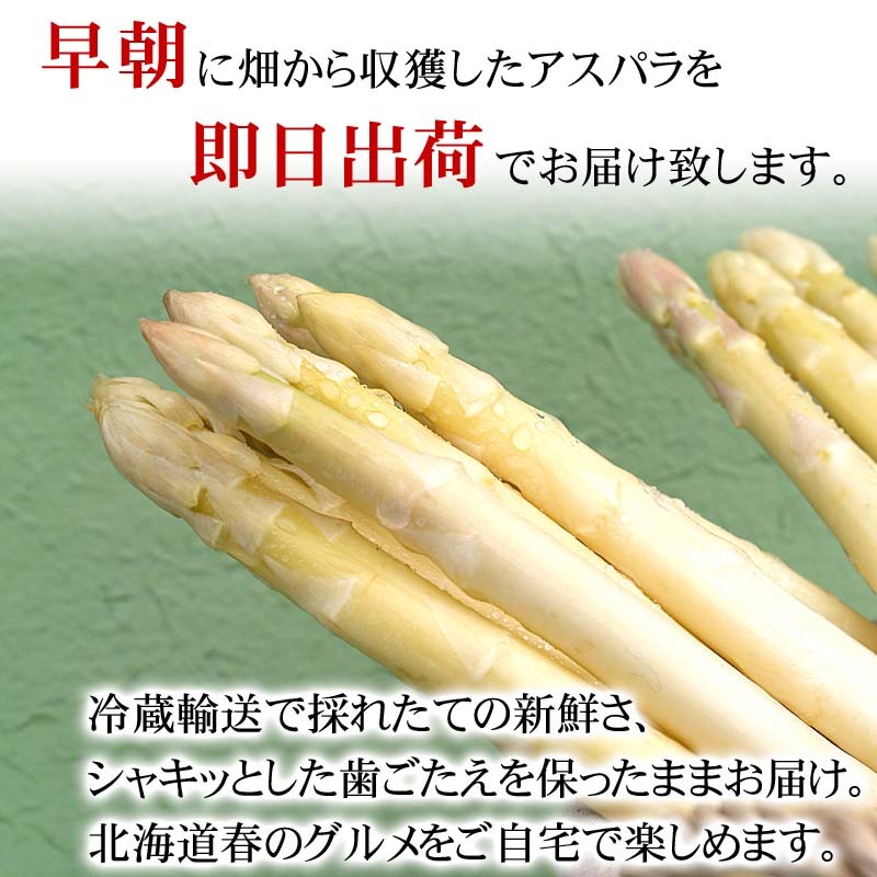 早朝収穫のアスパラガス