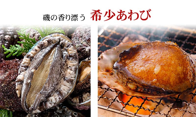 活蝦夷アワビ 2個 計200ｇ 北海道礼文島産 活えぞあわびだからこそお刺身、肝醤油、肝刺し、煮物、鉄板であわびステーキ :10464:かに太郎 -  通販 - Yahoo!ショッピング